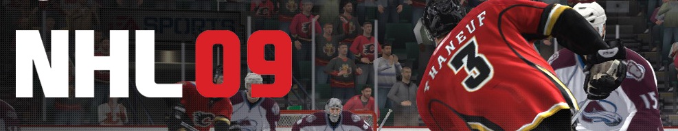 NHL 09 Bajnoksg